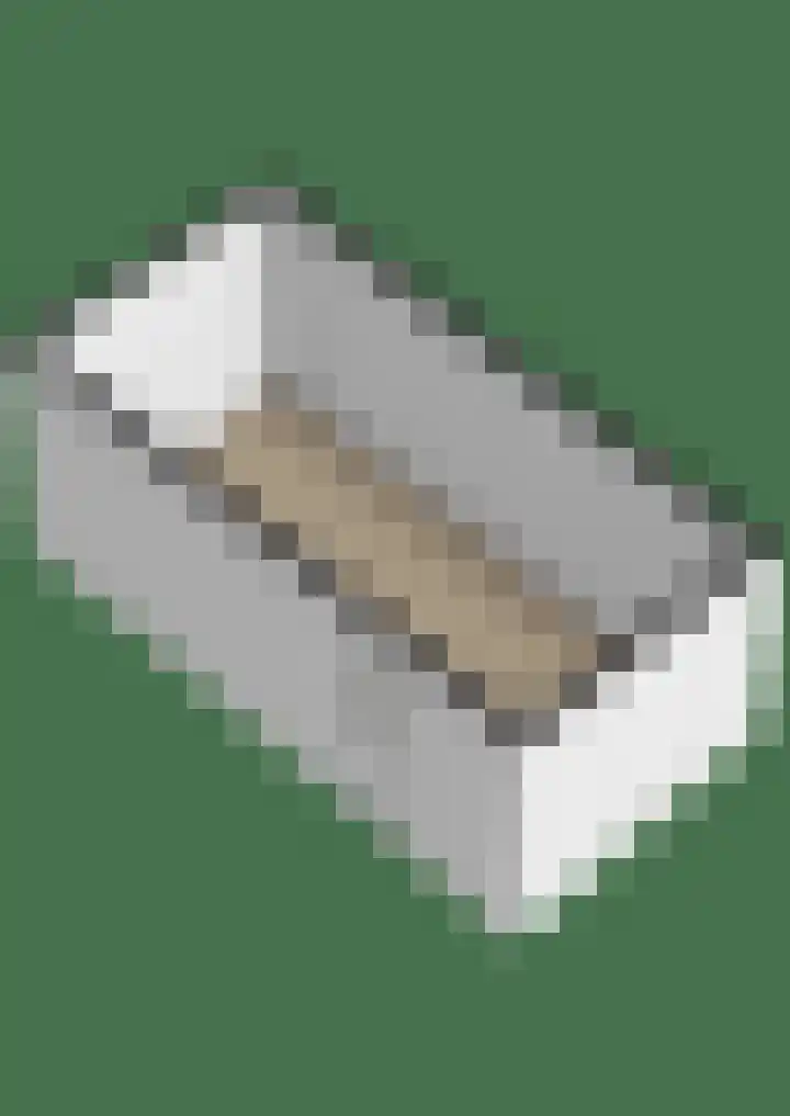 Grote Reed 6 Kimswerd thumbnail 60