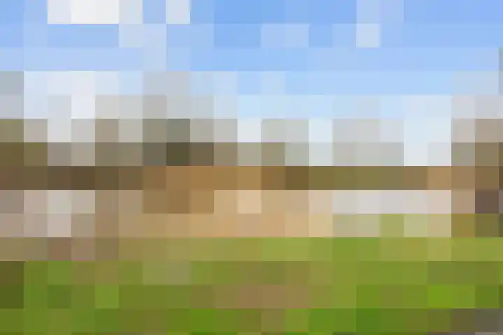 Grote Reed 6 Kimswerd thumbnail 7