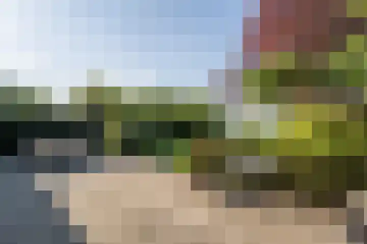 Grote Riethure 24 Westmaas thumbnail 37
