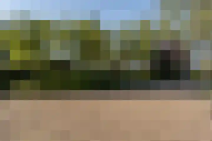 Grote Riethure 24 Westmaas thumbnail 46