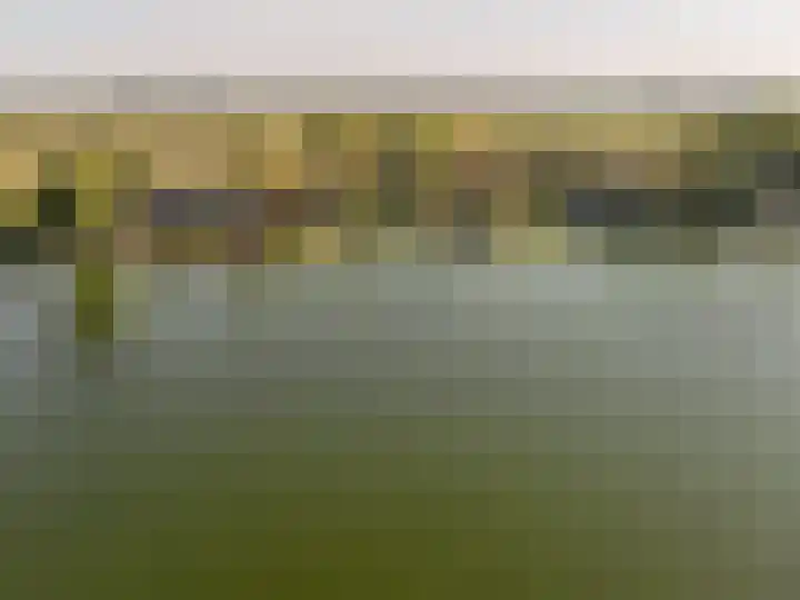 Grote Riethure 24 Westmaas thumbnail 50