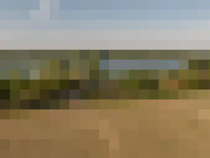 Grote Riethure 24 Westmaas thumbnail 52
