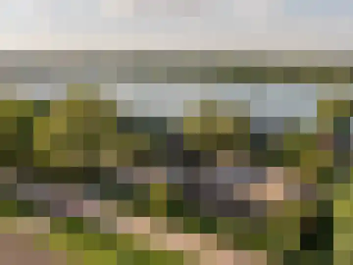 Grote Riethure 24 Westmaas thumbnail 53