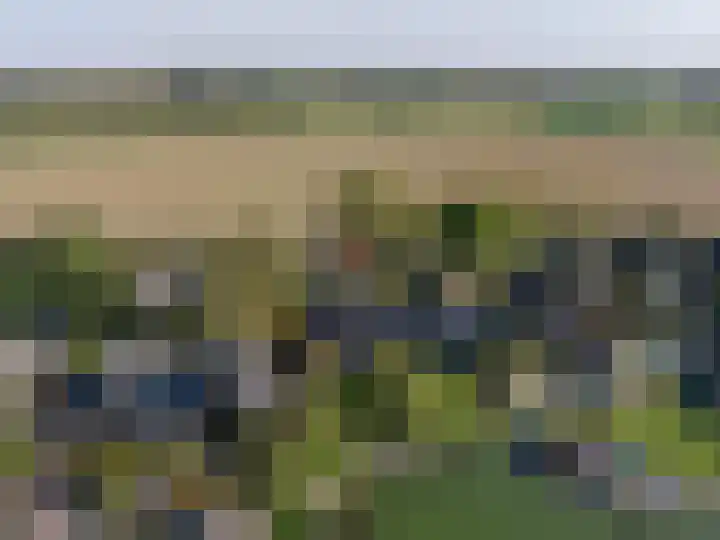 Grote Riethure 24 Westmaas thumbnail 61