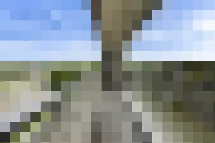Grote Spie 307 Breda thumbnail 19