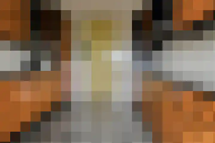 Grote Spie 307 Breda thumbnail 23