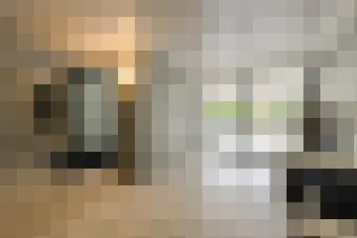 Grote Spie 307 Breda thumbnail 9