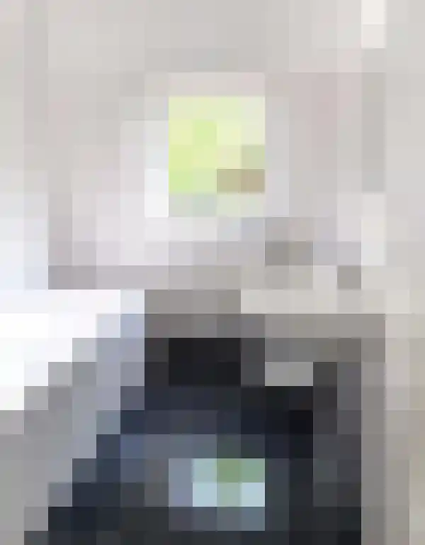 Grote Vos 13 Breda thumbnail 20