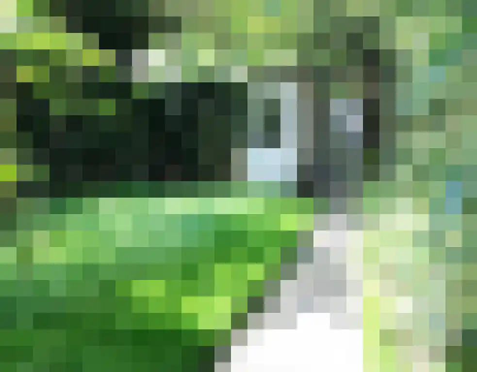 Grote Vos 13 Breda thumbnail 27