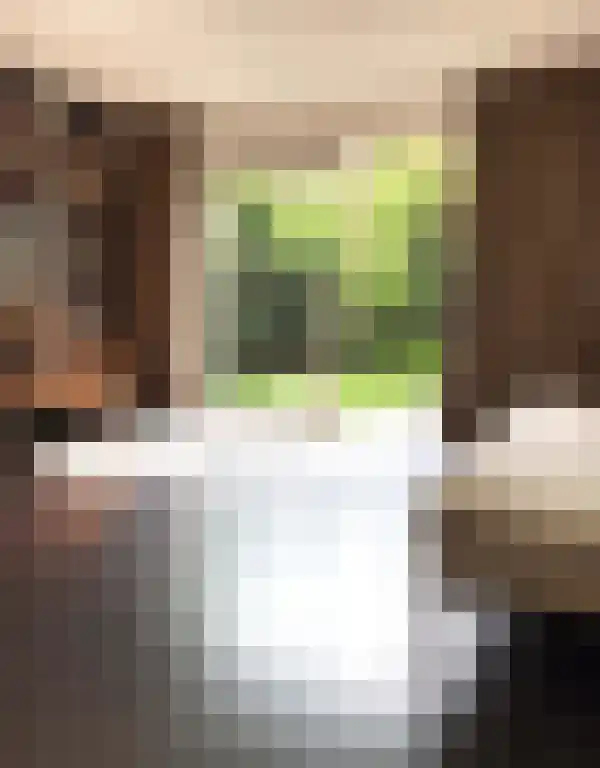 Grote Vos 13 Breda thumbnail 7
