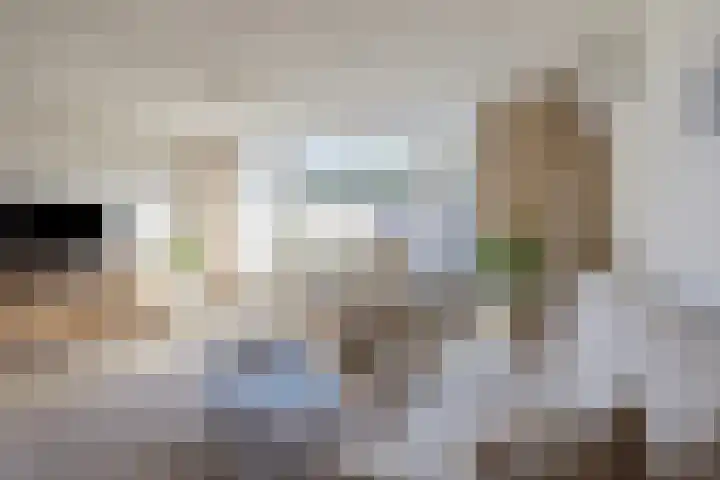 Grote Vos 18 Breda thumbnail 11
