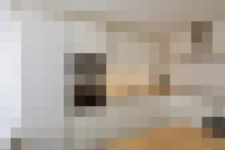Grote Vos 18 Breda thumbnail 24