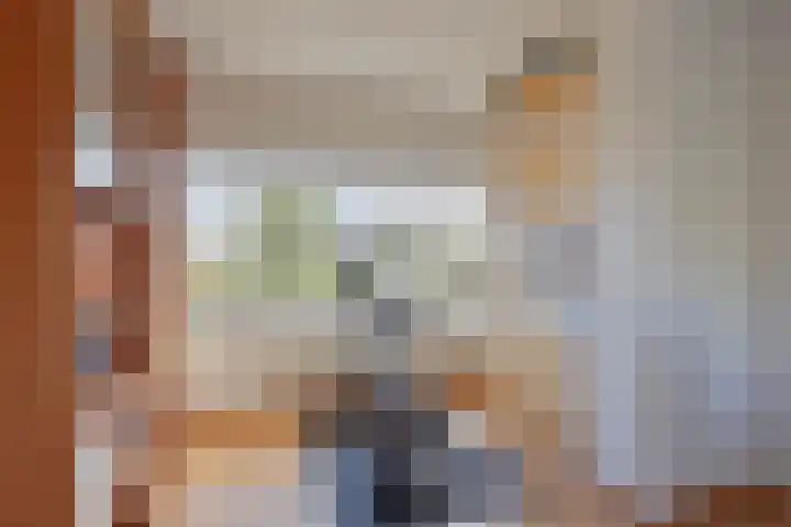 Grote Vos 18 Breda thumbnail 42