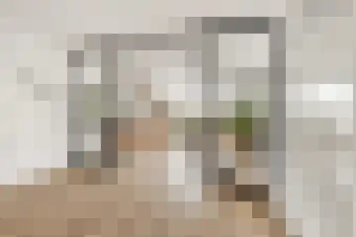 Grote Vos 3 Nijkerk thumbnail 10