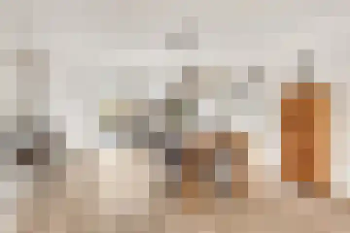 Grote Vos 3 Nijkerk thumbnail 14