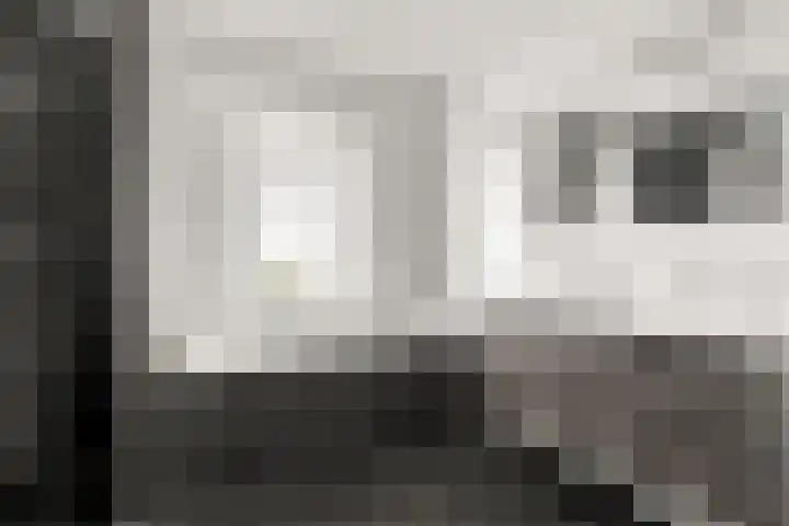 Grote Vos 3 Nijkerk thumbnail 26