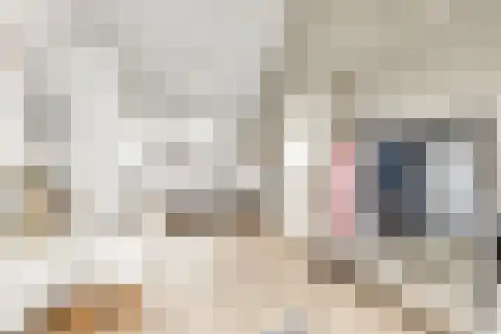 Grote Vos 3 Nijkerk thumbnail 31