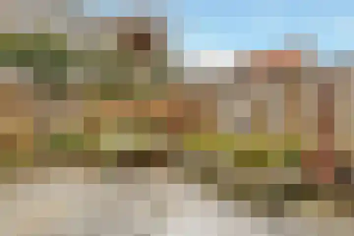 Grote Vos 3 Nijkerk thumbnail 33