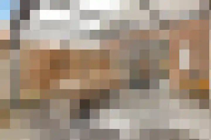 Grote Vos 3 Nijkerk thumbnail 35