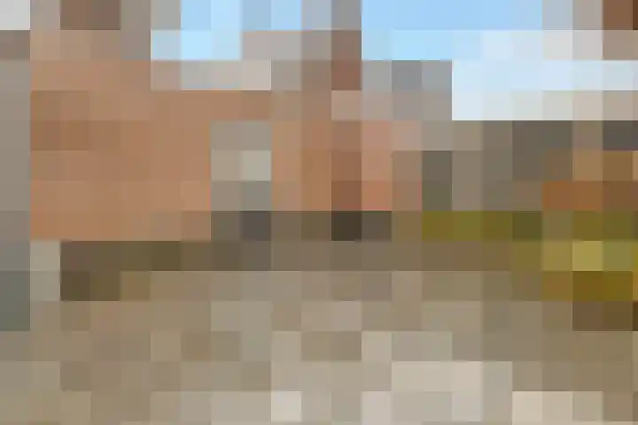 Grote Vos 3 Nijkerk thumbnail 37