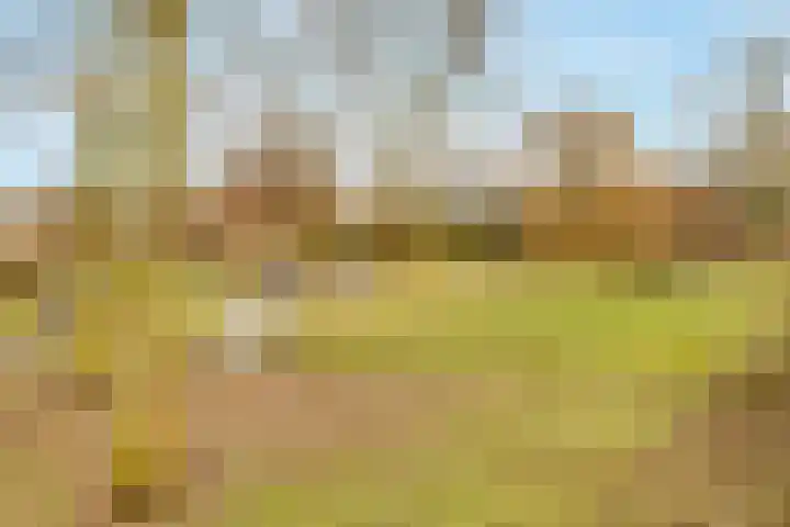 Grote Vos 3 Nijkerk thumbnail 40