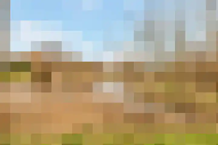 Grote Vos 3 Nijkerk thumbnail 41