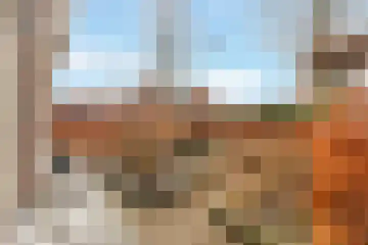 Grote Vos 3 Nijkerk thumbnail 6