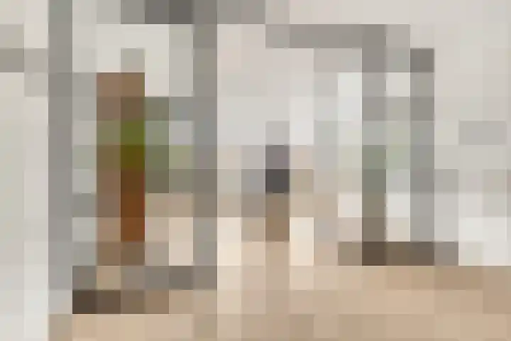 Grote Vos 3 Nijkerk thumbnail 9