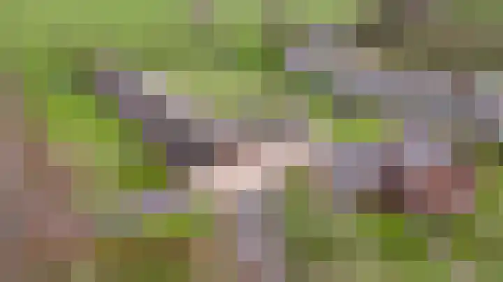 Grotesteeg 27 Weert thumbnail 11