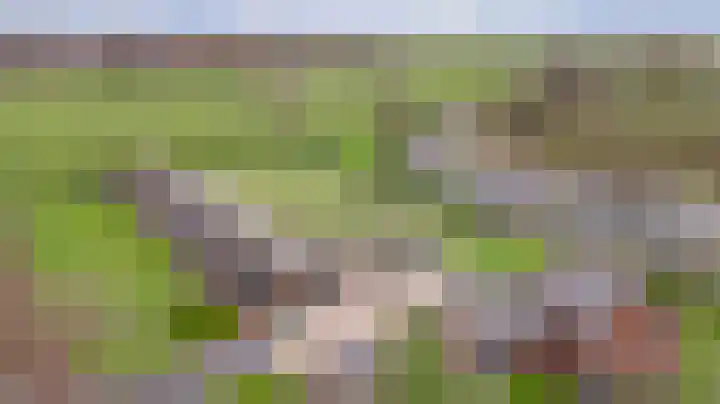 Grotesteeg 27 Weert thumbnail 12