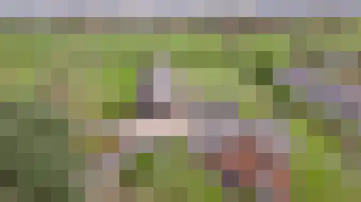 Grotesteeg 27 Weert thumbnail 13