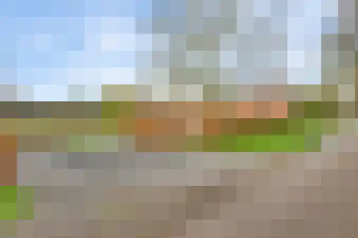 Grotesteeg 27 Weert thumbnail 14