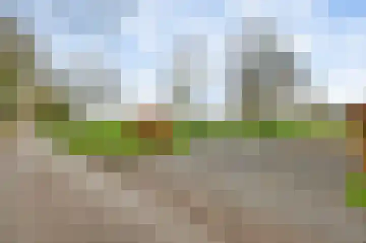 Grotesteeg 27 Weert thumbnail 15