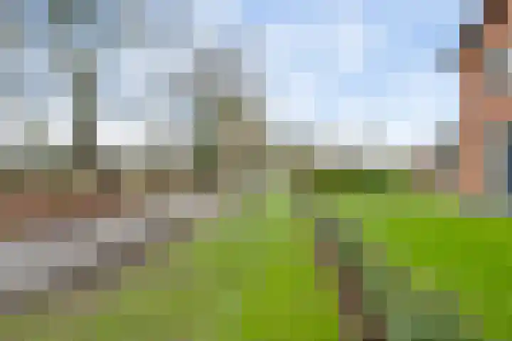 Grotesteeg 27 Weert thumbnail 19