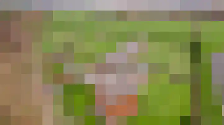 Grotesteeg 27 Weert thumbnail 5