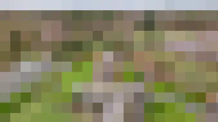 Grotesteeg 27 Weert thumbnail 9