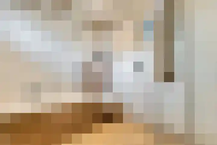 Grotestraat 10 Deest thumbnail 23