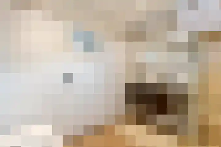 Grotestraat 10 Deest thumbnail 25