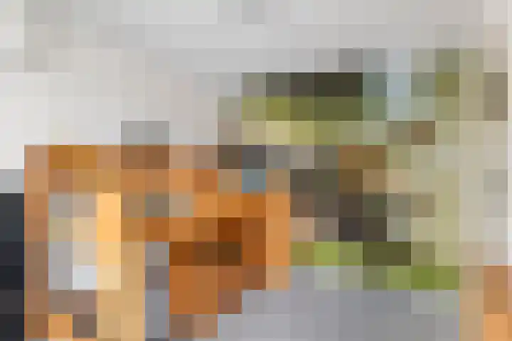 Grotestraat 10 Deest thumbnail 27