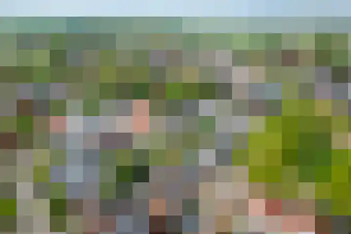 Grotestraat 10 Deest thumbnail 41