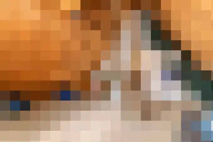 Grotestraat 12 Deest thumbnail 39