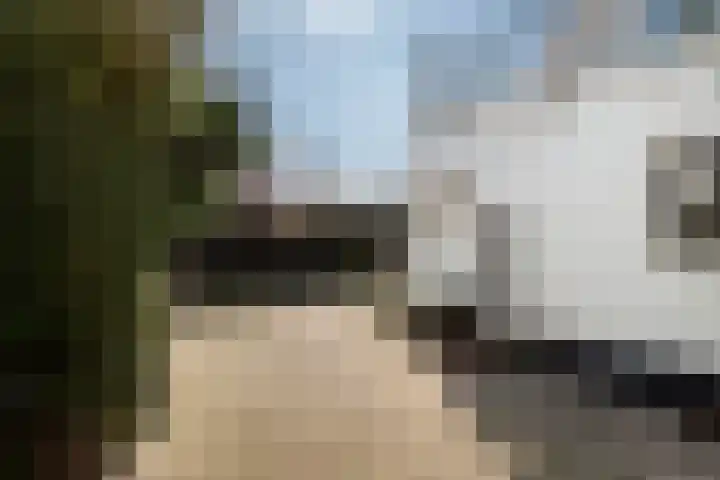 Grotestraat 12 Deest thumbnail 48