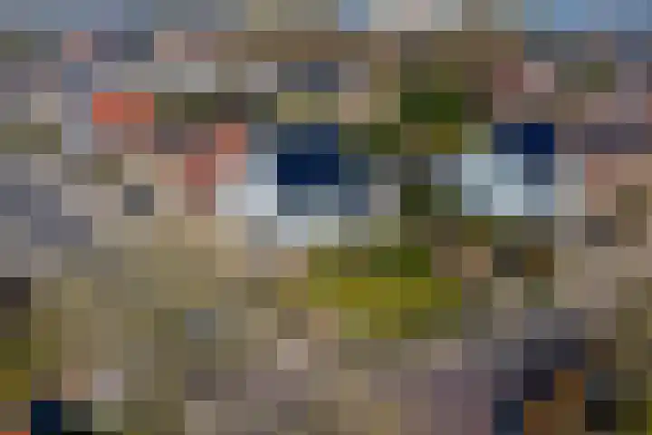 Grotestraat 12 Deest thumbnail 56