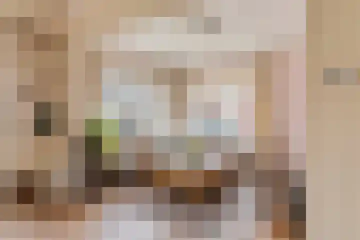 Grotestraat 12 Deest thumbnail 7