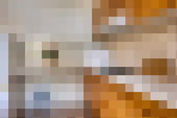 Grotestraat 120 Borne thumbnail 24