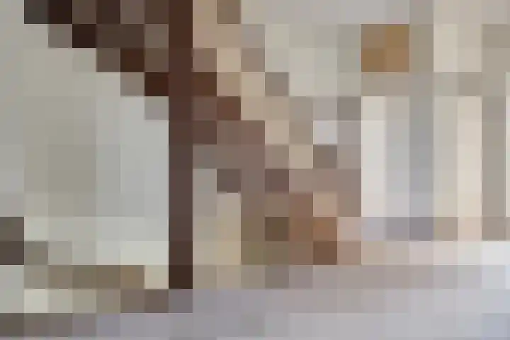 Grotestraat 120 Borne thumbnail 27