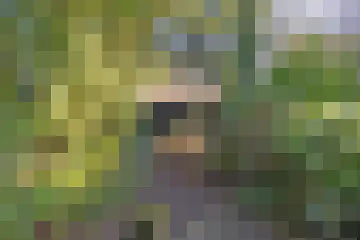 Grotestraat 120 Borne thumbnail 45