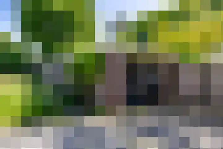 Grotestraat 13 B Wehl thumbnail 33