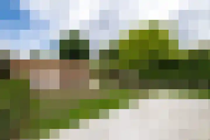 Grotestraat 13 Wehl thumbnail 14