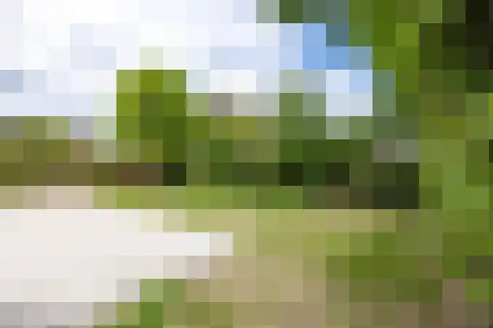 Grotestraat 13 Wehl thumbnail 17